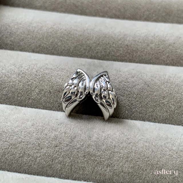 Intertwined silver wings with polished finish and delicate feather texture | Asttery