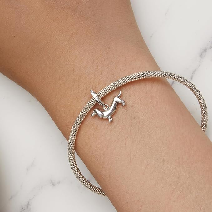 Zaflyn charm on bracelet, a symbol of loyalty, quiet joy, and lasting companionship,  Asttery
